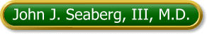 Visit Dr. Seaberg Online